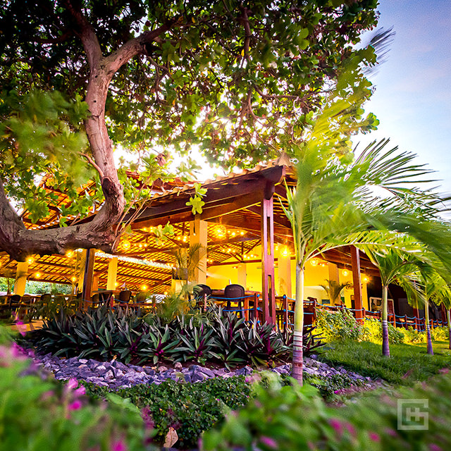 placeholder image-sq